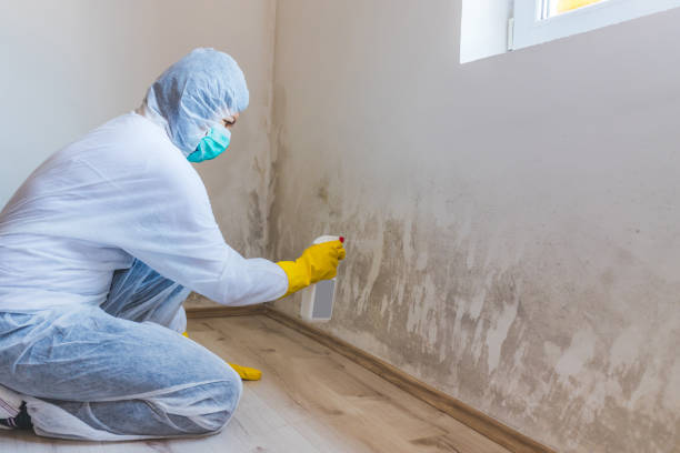 Mold Remediation specialist working in Traverse City